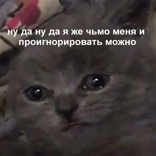 😢 Стикер «Это конец» для Telegram