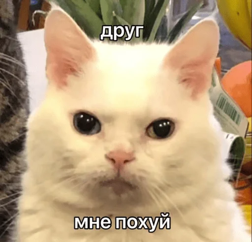 😑 Стикер «Это конец» для Telegram