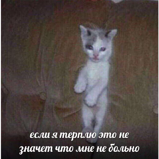 😣 Стикер «Это конец» для Telegram