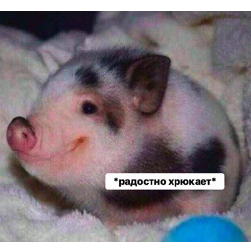 Стикерпак Это конец для Telegram — скачать