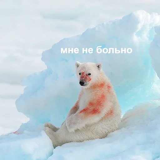 😐 Стикер «Это конец» для Telegram