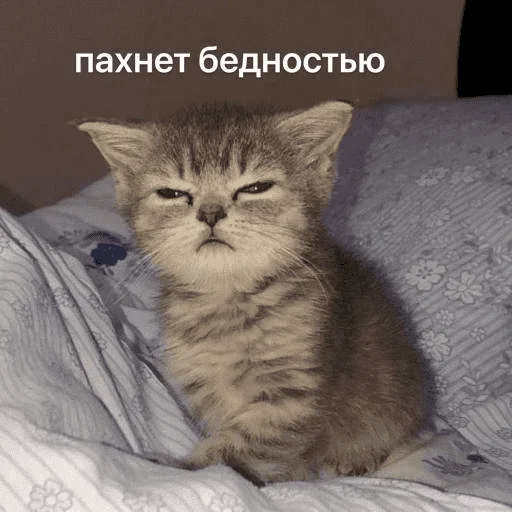 🧐 Стикер «Это конец» для Telegram