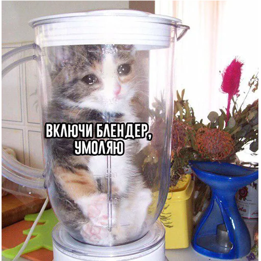 😢 Стикер «Это конец» для Telegram