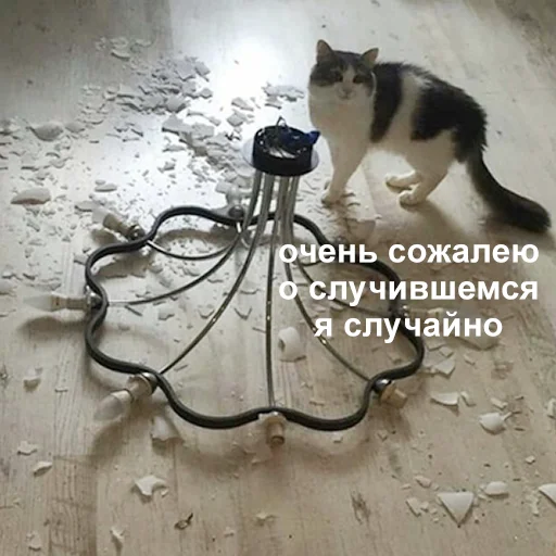 😐 Стикер «Это конец» для Telegram
