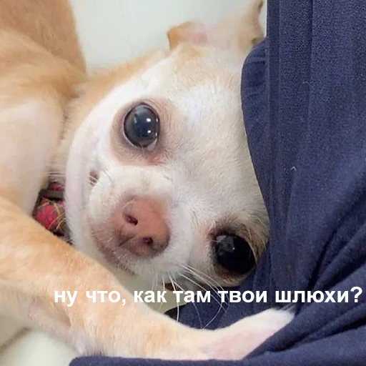 🙂 Стикер «Это конец» для Telegram