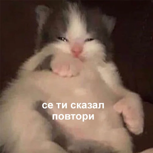 🤨 Стикер «Это конец» для Telegram