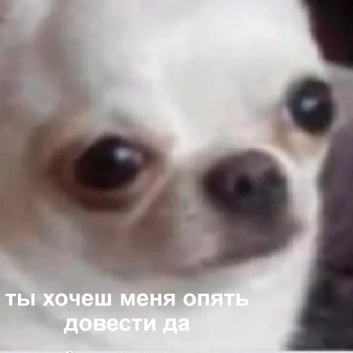 ☹️ Стикер «Это конец» для Telegram