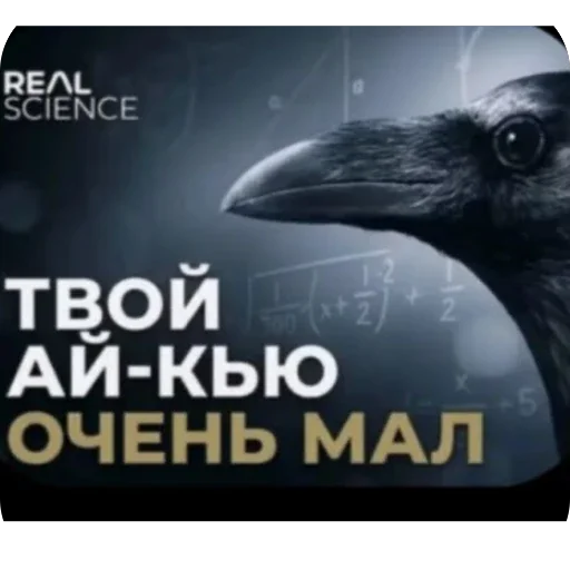 🫥 Стикер «Не нажимай =>» для Telegram