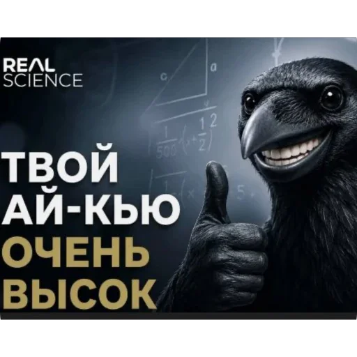 🫥 Стикер «Не нажимай =>» для Telegram