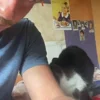 🐈 Эмодзи «Тихон» для Telegram