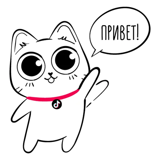 Стикерпак TikTok Kot для Telegram — скачать