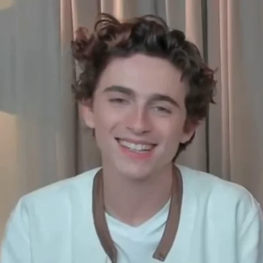 🌟 Стикер «Timothee Chalamet» для Telegram