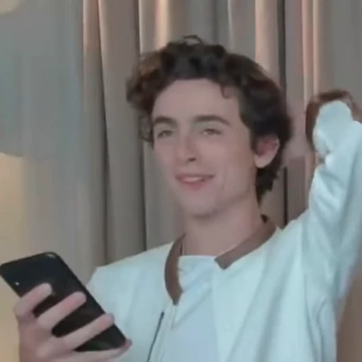 🌟 Стикер «Timothee Chalamet» для Telegram