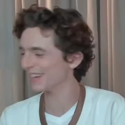 🌟 Стикер «Timothee Chalamet» для Telegram