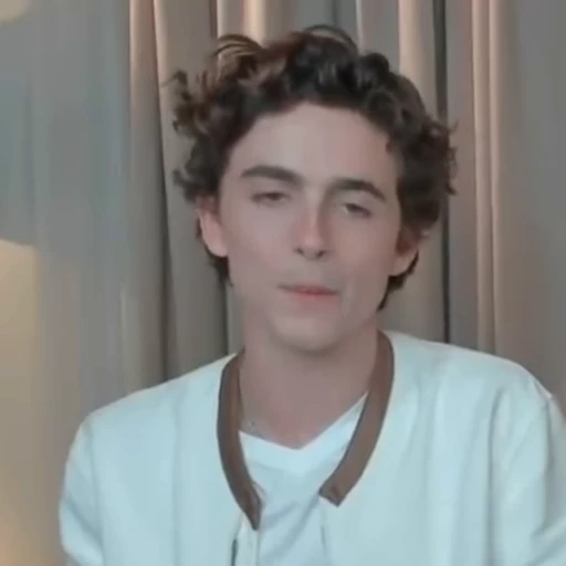🌟 Стикер «Timothee Chalamet» для Telegram