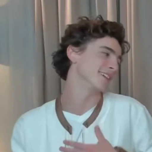🌟 Стикер «Timothee Chalamet» для Telegram