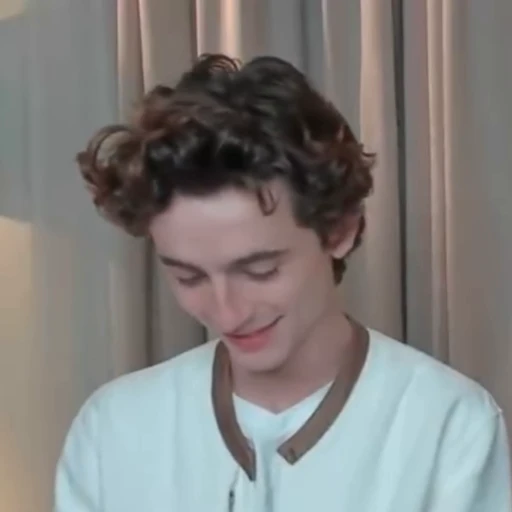🌟 Стикер «Timothee Chalamet» для Telegram