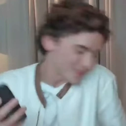 🌟 Стикер «Timothee Chalamet» для Telegram