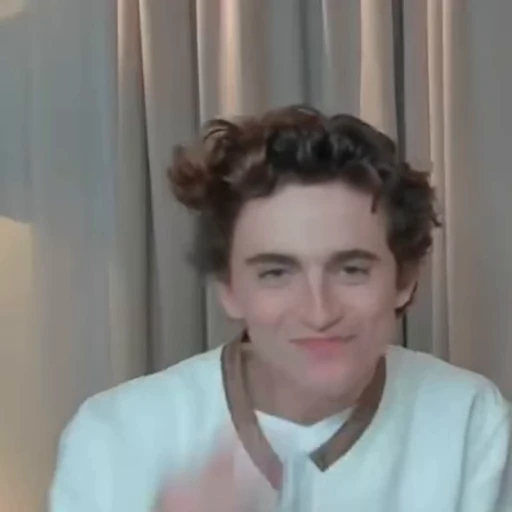 🌟 Стикер «Timothee Chalamet» для Telegram