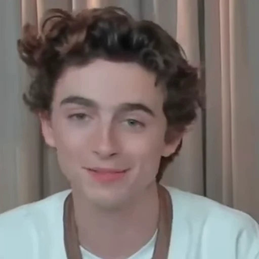 🌟 Стикер «Timothee Chalamet» для Telegram