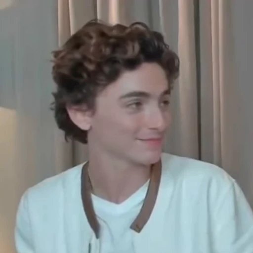 🌟 Стикер «Timothee Chalamet» для Telegram