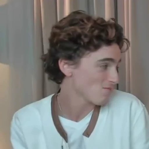 🤍 Стикер «Timothee Chalamet» для Telegram