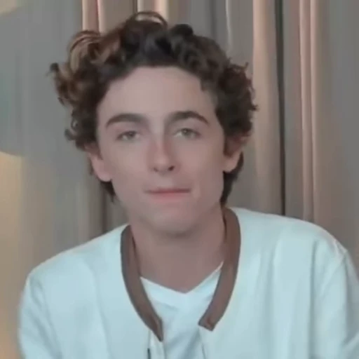 🤍 Стикер «Timothee Chalamet» для Telegram