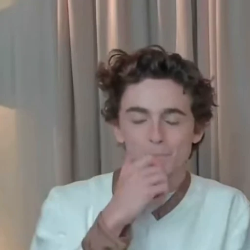 🌟 Стикер «Timothee Chalamet» для Telegram