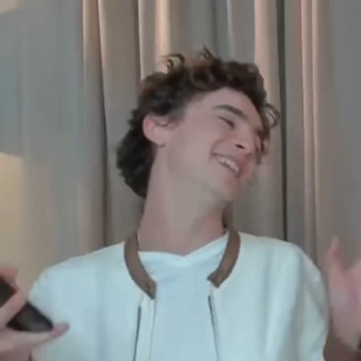 🌟 Стикер «Timothee Chalamet» для Telegram