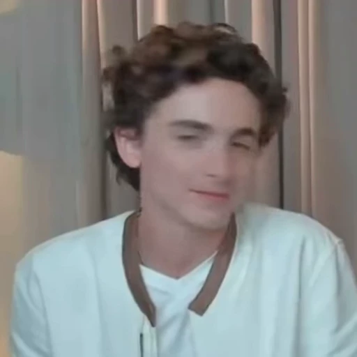 🤍 Стикер «Timothee Chalamet» для Telegram