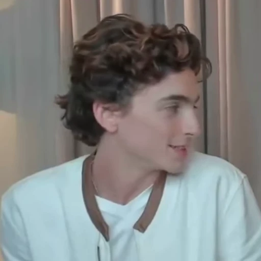 🤍 Стикер «Timothee Chalamet» для Telegram