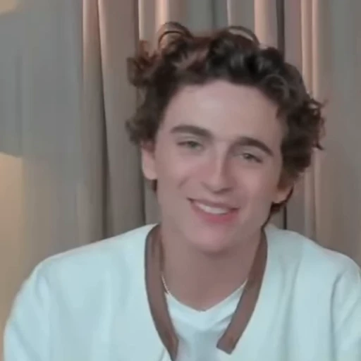 🌟 Стикер «Timothee Chalamet» для Telegram