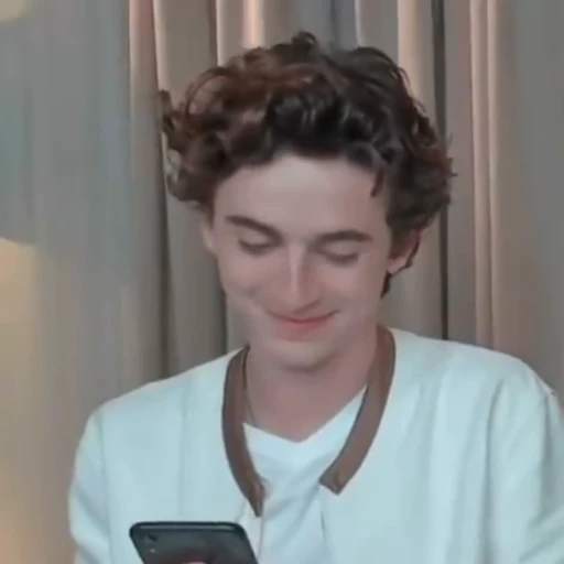 🌟 Стикер «Timothee Chalamet» для Telegram
