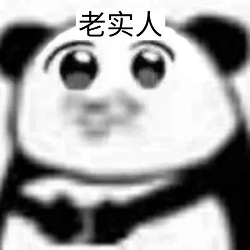 猫四的表情包