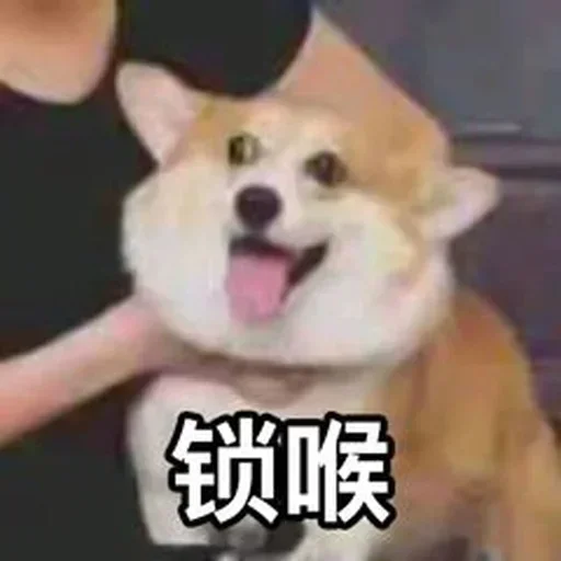 ❤️ Стикер «猫四的表情包» для Telegram