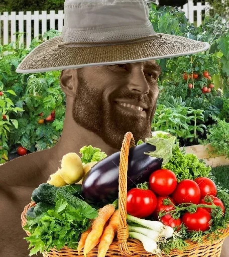 👨‍🌾 Стикер «Harun The Sigma» для Telegram
