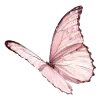 🦋 Эмодзи «𝐠𝐢𝐫𝐥𝐬 𝐰𝐨𝐫𝐥𝐝» для Telegram