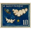 🤩 Эмодзи «инжир» для Telegram