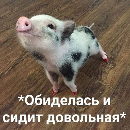 😒 Стикер «Хрюшки» для Telegram