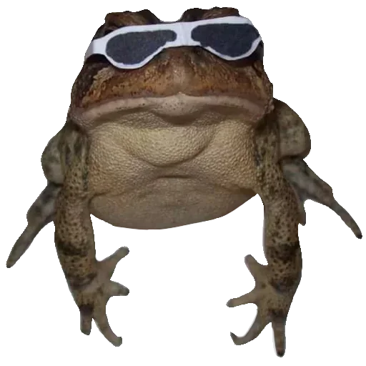 🐸 Стикер «Toad» для Telegram