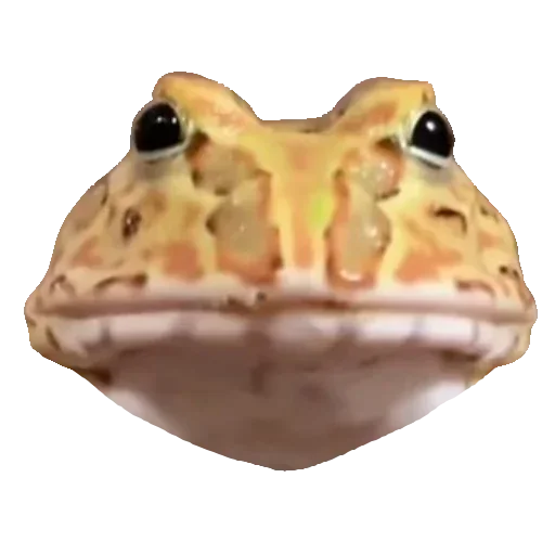Стикерпак Toad для Telegram
