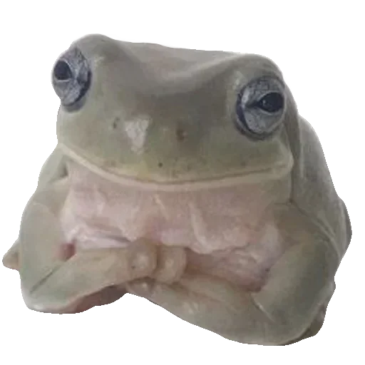 🐸 Стикер «Toad» для Telegram