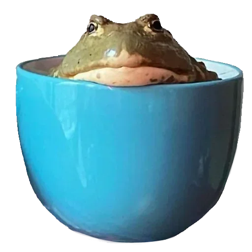 🐸 Стикер «Toad» для Telegram