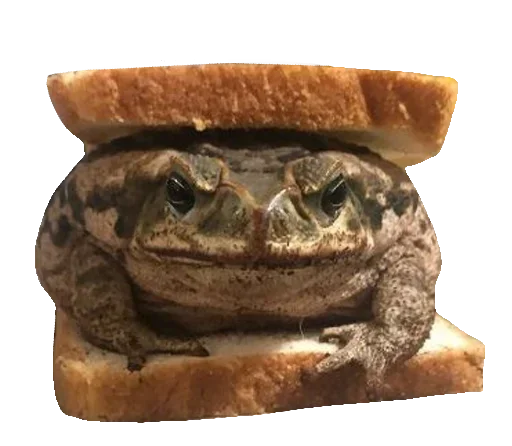 🐸 Стикер «Toad» для Telegram