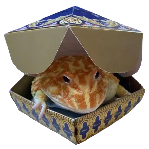 🐸 Стикер «Toad» для Telegram