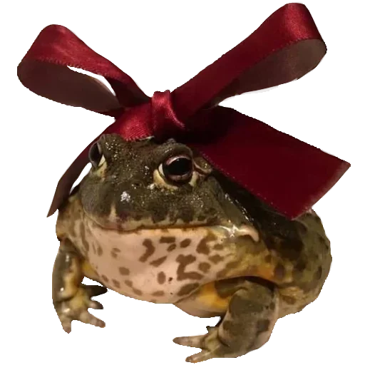 🐸 Стикер «Toad» для Telegram