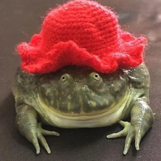 🐸 Стикер «Toads and Frogs» для Telegram