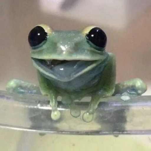 🐸 Стикер «Toads and Frogs» для Telegram