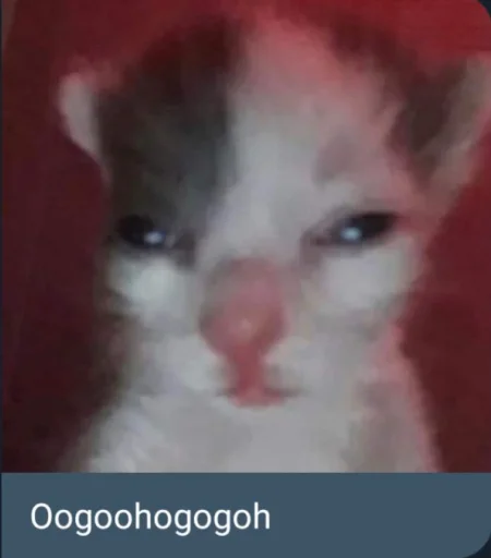 🐈 Стикер «Tobi Super Deluxe Stickers Part 2 Electric Boogaloo» для Telegram