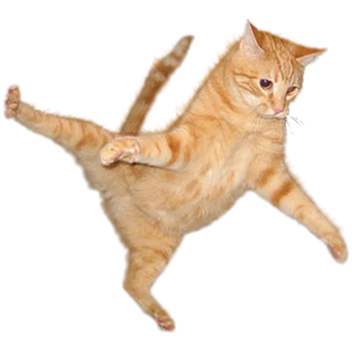🐱 Стикер «Tobi Super Deluxe Stickers Part 2 Electric Boogaloo» для Telegram
